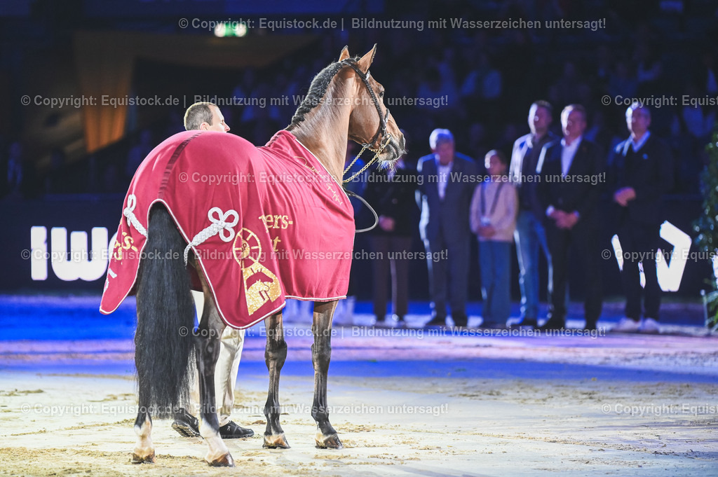20251113_Masters-Hengst_TOMSPIC_0012 | Foto: Thomas Hartig