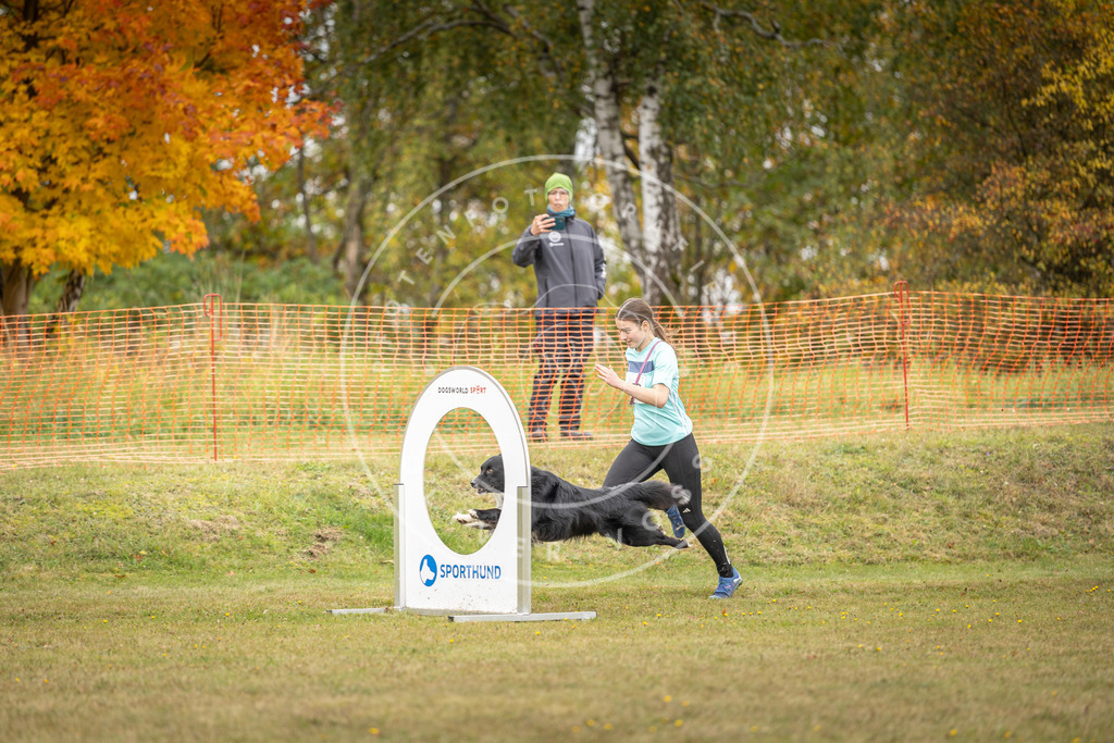 Pfotenfotografie_DV3A5360 | Hundefotografie, Tierfotograf, Pfotenfotografie, Fotoshooting Hund, Hunde Portrait, Hundesport, Hundeportraits, Heideshooting, Hunde, Sportfotograf, Hundefotograf, Turnierhundsport, THS,  - Realisiert mit Pictrs.com