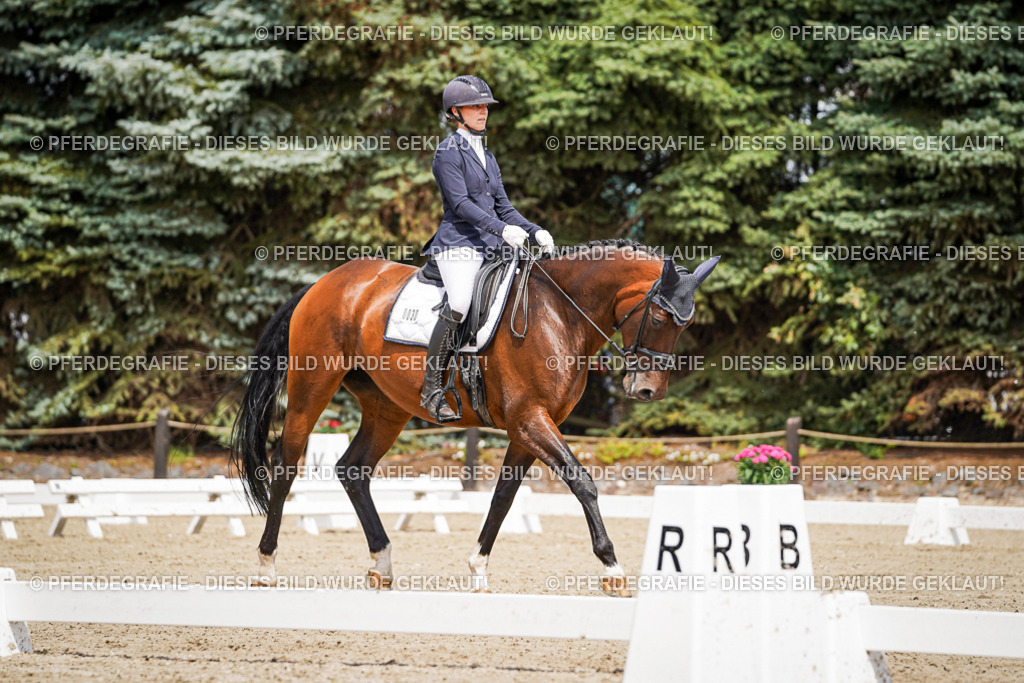 DSC02182 | Pferdegrafie