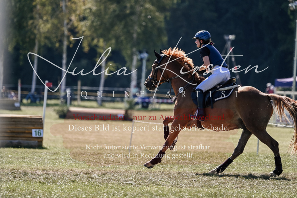 DSC_3083 | Pferde- und Turnierfotografie in Westsachsen. Pferdeportraits, Auftragszeichnungen und intuitive Kunst.