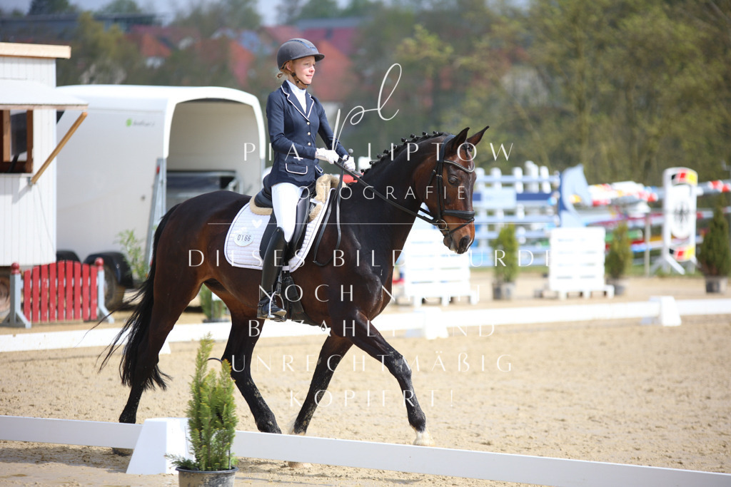 IMGT4910 | pl-fotografie