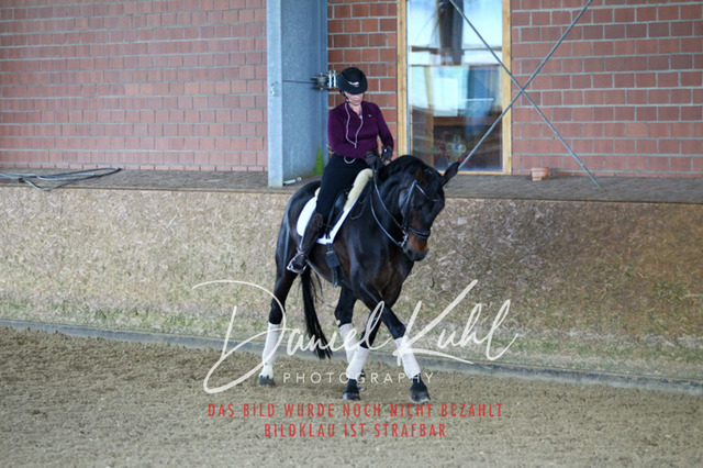 DKP42829 | Turniersportfotografie; Pferdefotografie; Dressurfotografie