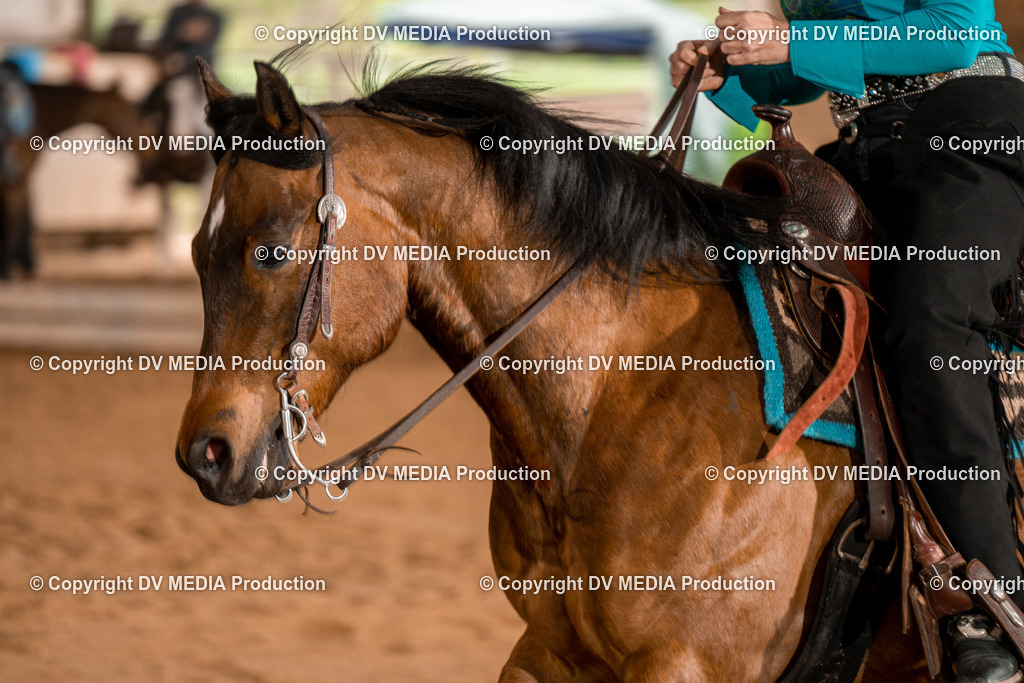 BA400687 | dv-media-shop - Realisiert mit Pictrs.com