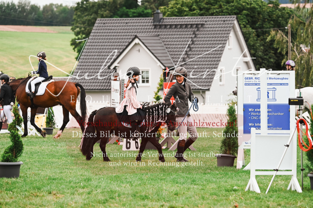 DSC_7376 | Pferde- und Turnierfotografie in Westsachsen. Pferdeportraits, Auftragszeichnungen und intuitive Kunst.