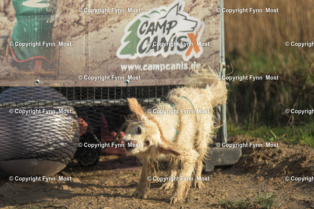 DSC_0222 | Hallo und herzlich Willkommen auf meiner Shop-Seite Fynn Most.

Ich wünsche Dir viel Spaß beim stöbern durch die Bilder, wenn Du Fragen hast oder Bilder vermisst, kannst du mir gerne eine Nachricht schreiben. - Realisiert mit Pictrs.com
