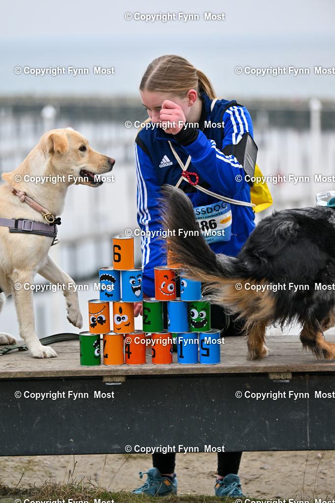 DSC_3331 | Hallo und herzlich Willkommen auf meiner Shop-Seite Fynn Most.

Ich wünsche Dir viel Spaß beim stöbern durch die Bilder, wenn Du Fragen hast oder Bilder vermisst, kannst du mir gerne eine Nachricht schreiben. - Realisiert mit Pictrs.com
