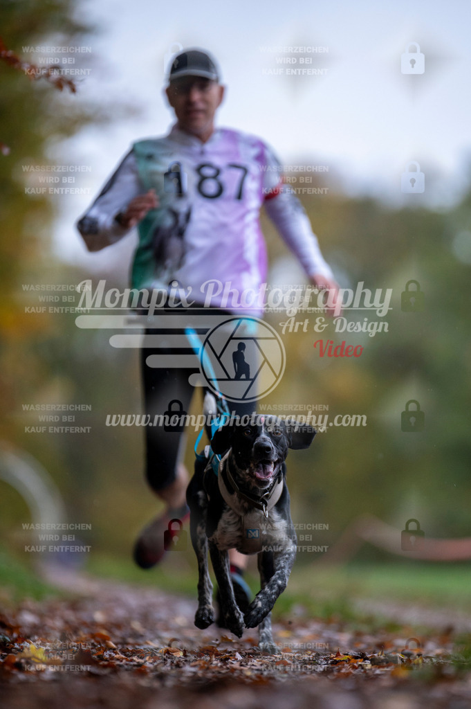 DBT_DAKM_SA_4_11_2023_Canicross-87 | PayLife
