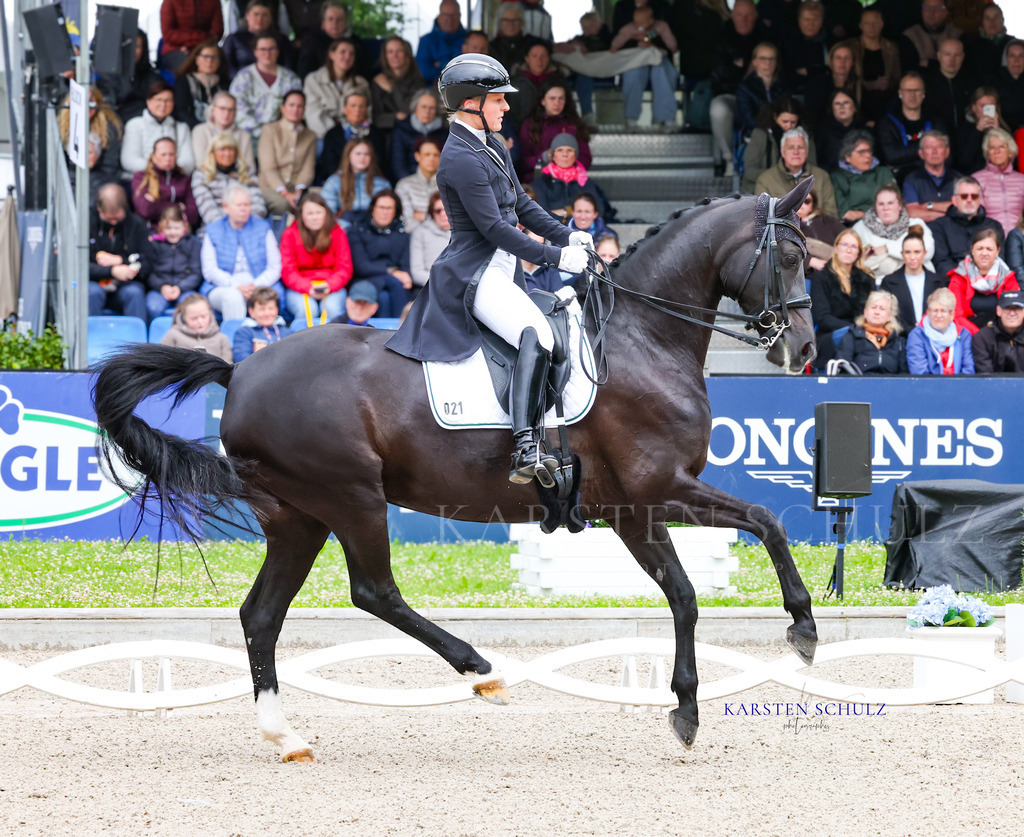 1B3A7400 | Reitsport Reiten