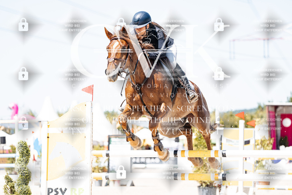 CK909884 | Turnierfotografie Pferdefotografie Trier Rheinland-Pfalz Pferdesport Reitsport Tierfotografie Sportfotografie Pferdevideo Pferdevideografie Equestrianvideography equestrianphotography  - Realisiert mit Pictrs.com