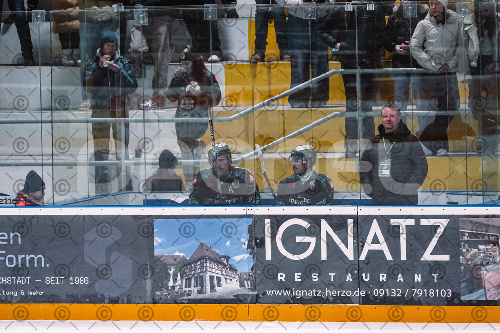 Alligators_vs_Memmingen_05_12_2025-144 | Höchstadt Alligators Fotogalerie: Eishockey-Action aus Franken. Professionelle Spielfotos, Portraits & Stadionbilder zum Download. Jetzt entdecken! - Realisiert mit Pictrs.com