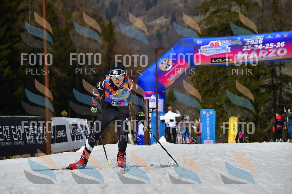 _DSC0680 | holidayphoto