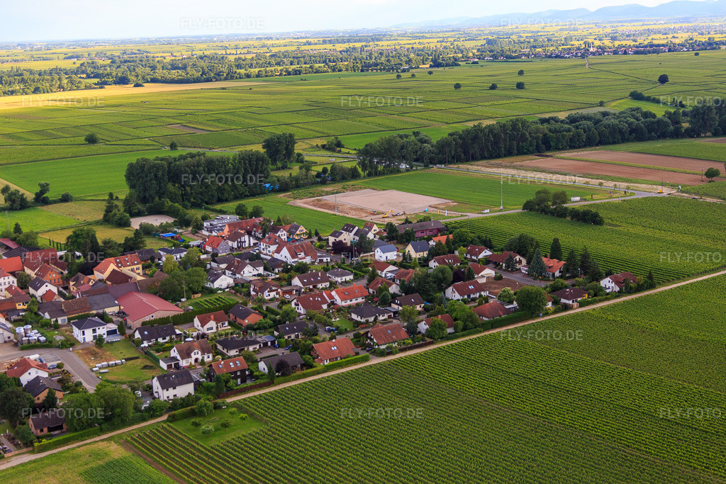 Luftbild: Mandelbergstr im Ortsteil Duttweiler in Neustadt im Bundesland Rheinland-Pfalz in Deutschland. Foto: IMG_090095.jpg vom 26.06.2016 durch Werner Riehm/FLY-FOTO.de