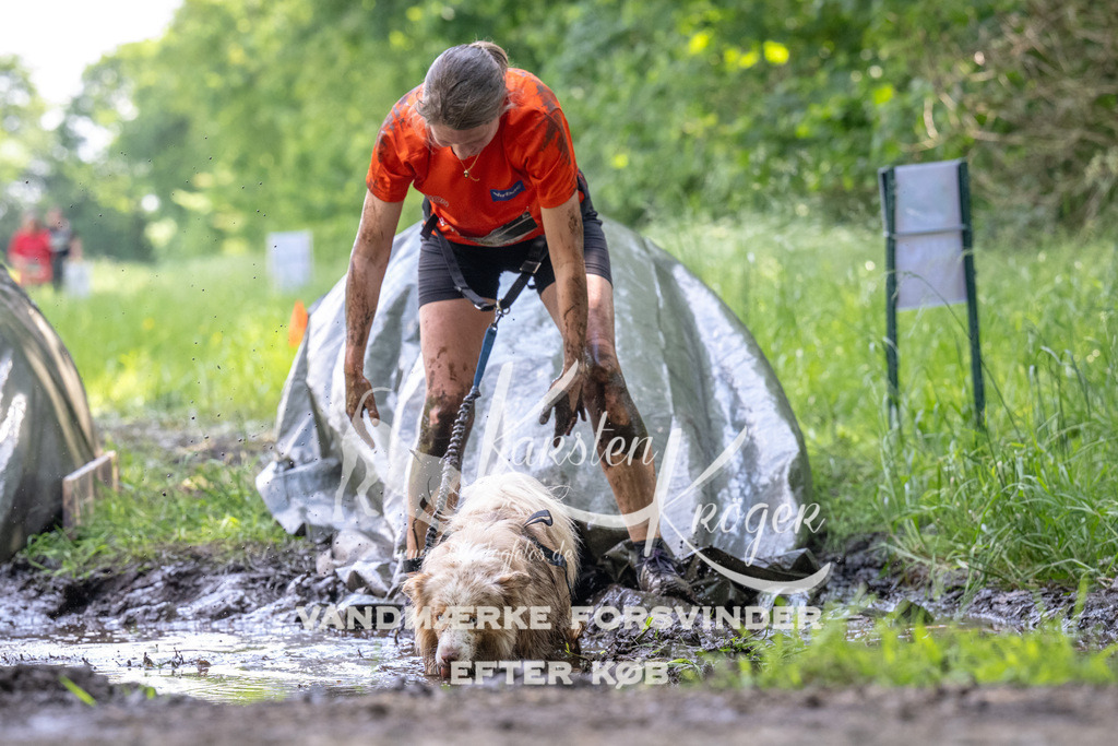 1204_ZZ91203 | kk-dogfotos