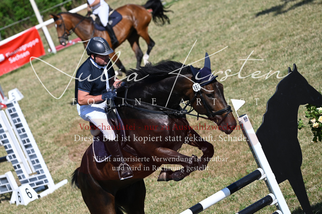 DSC_2155 | Pferde- und Turnierfotografie in Westsachsen. Pferdeportraits, Auftragszeichnungen und intuitive Kunst.