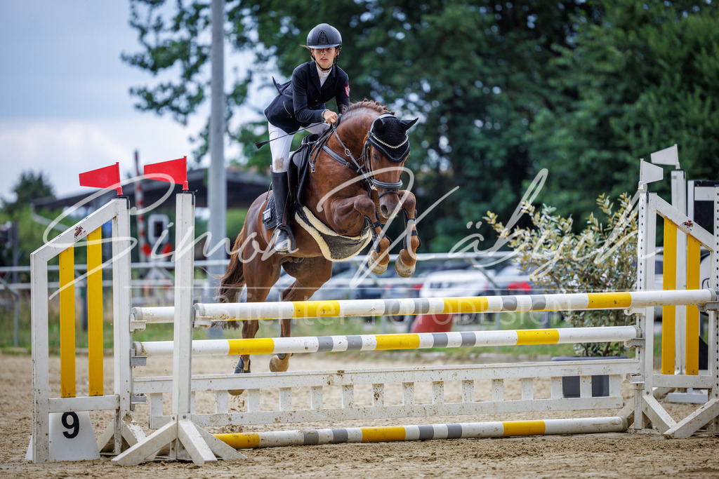 20260705-_3LI4903 | Tierfotografie Pferde, Hunde, Katzen, Haustiere.
Turnierfotografie Reitturniere, Reiten, Springreiten, Dressur in Hanau, dem Main-Kinzig-Kreis und dem Rhein-Main- Gebiet um Frankfurt
