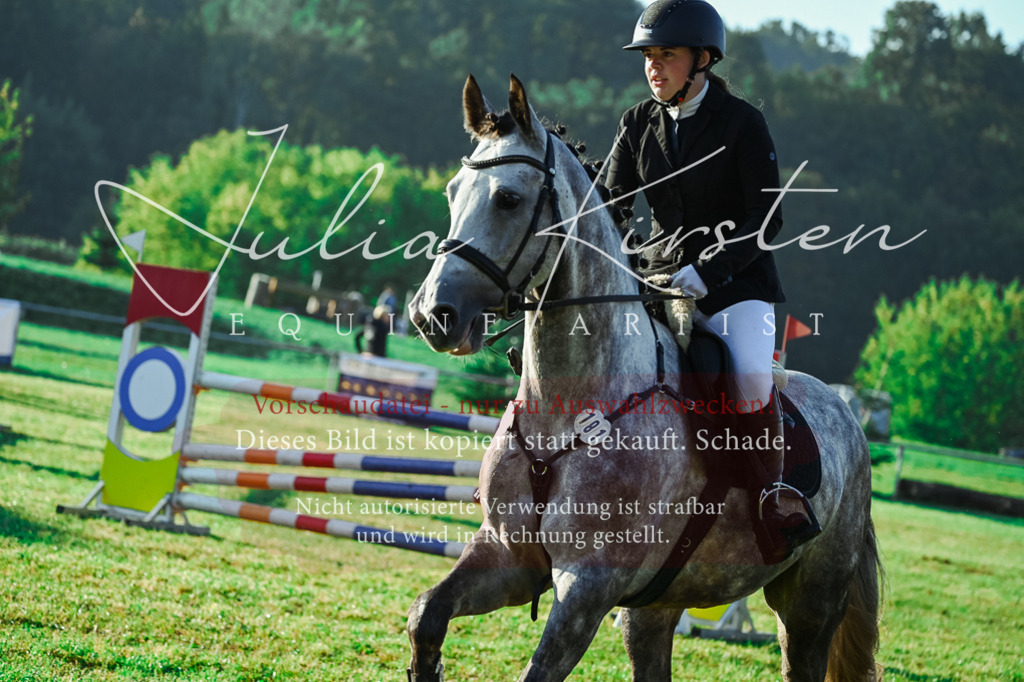 DSC_4138 | Pferde- und Turnierfotografie in Westsachsen. Pferdeportraits, Auftragszeichnungen und intuitive Kunst.