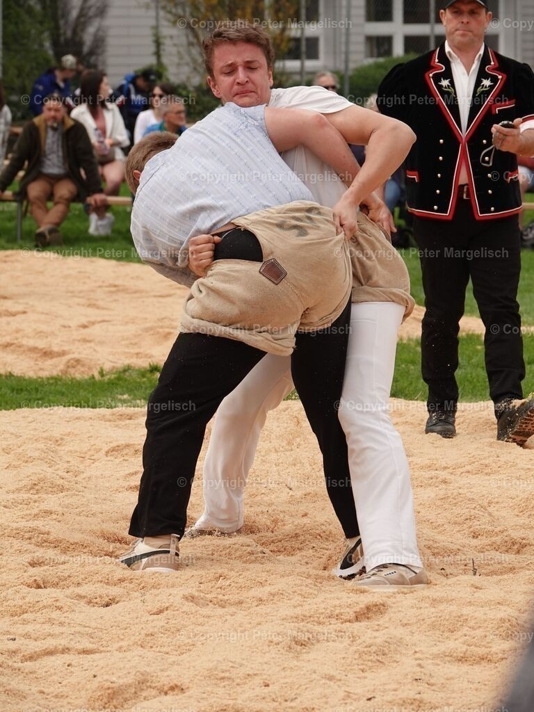 k-DSC06187 | Schwingen - Realisiert mit Pictrs.com