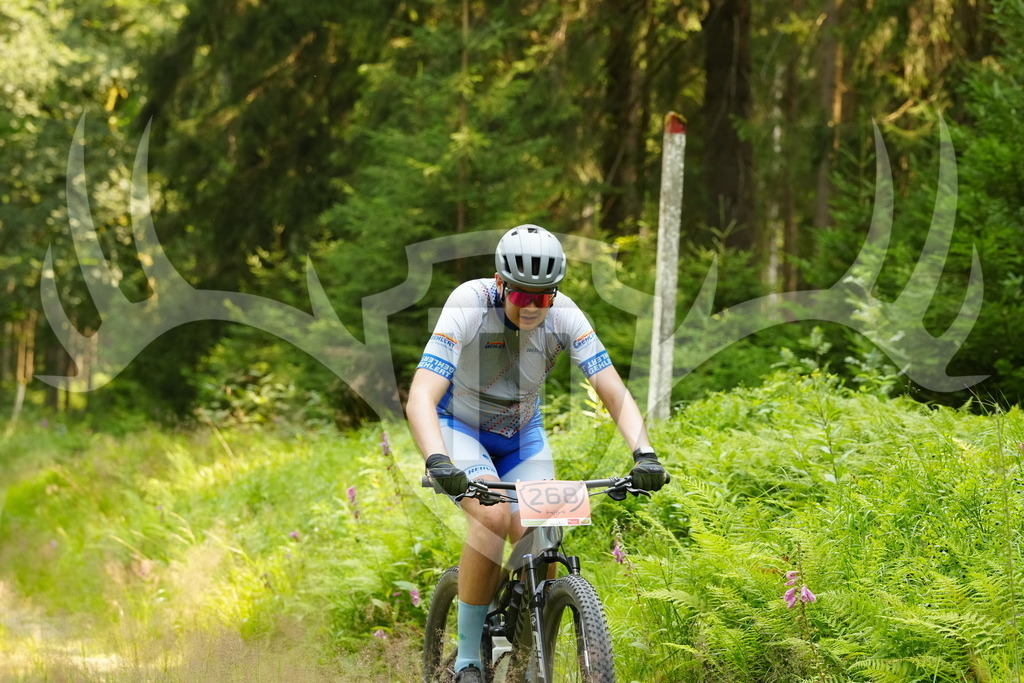 FC103251 | Fotogalerie der Treibjagd im Dunkelwald - Dein MTB Etappenrennen im Erzgebirge - Realisiert mit Pictrs.com
