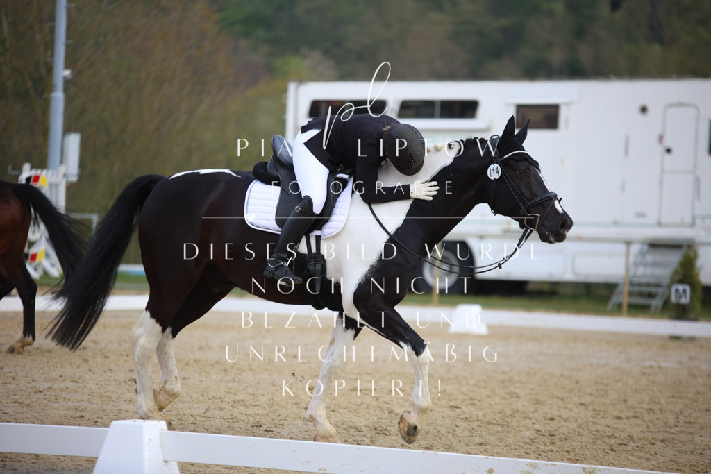 IMGT6539 | pl-fotografie