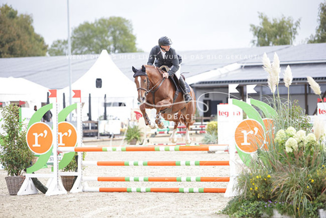 1J2A8937Cedric Becat_ Chella von der Streem_ Kn212_ Havekost | Foto- und Videografie für alles rund ums Pferd. Hochwertige Bilder und Videos vom Spring- und Dressurreiten, Voltigieren & mehr. Jetzt aktuelle Veranstaltungen und Preise im Shop ansehen. - Realisiert mit Pictrs.com