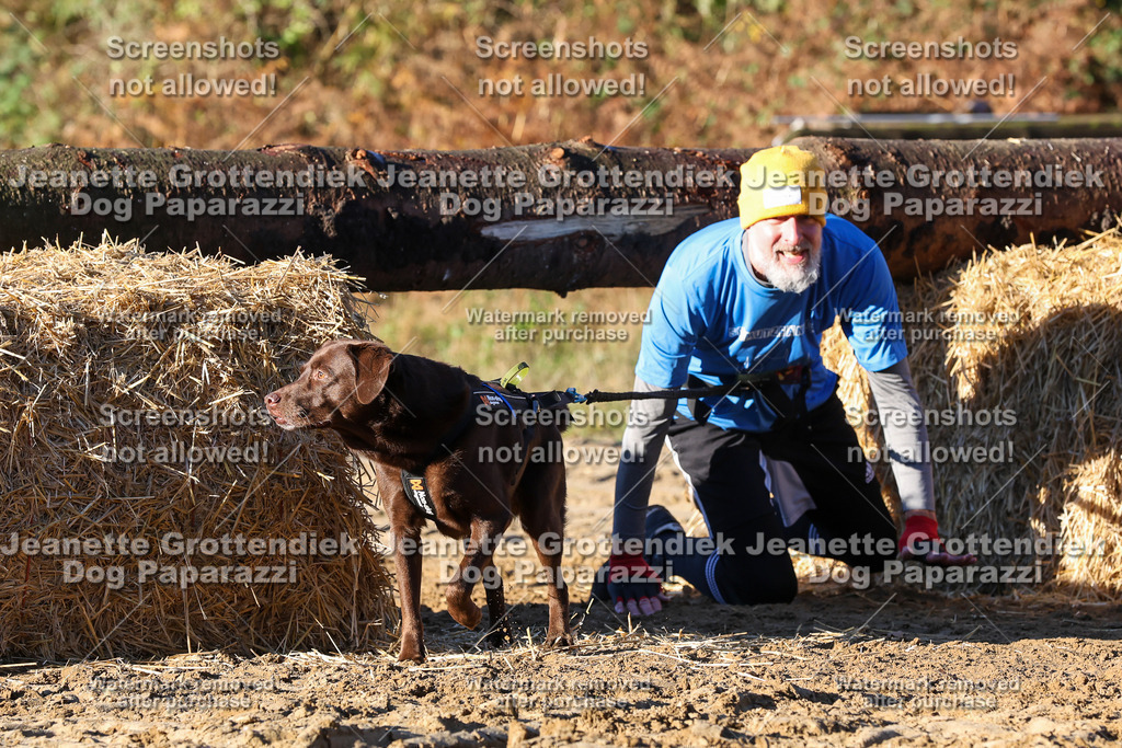 Dog Paparazzi - Strongdog 10-25-1304 | Dog Paparazzi Jeanette Grottendiek Fotografie & Videografie - Realisiert mit Pictrs.com