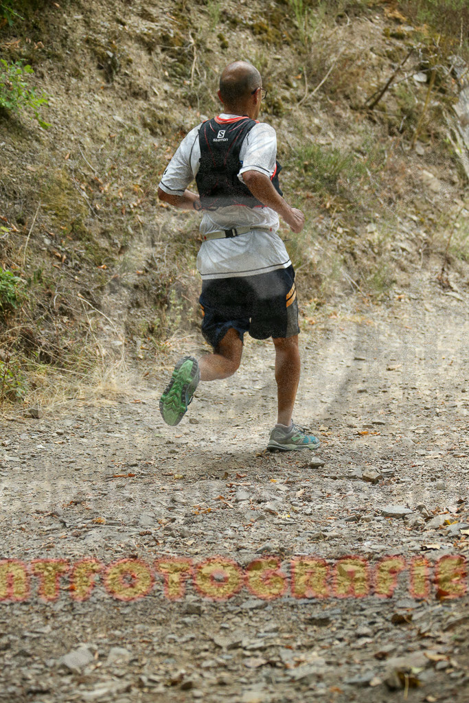 220827_1128_EX1_9142 | Sportfotografie im Rhein-Sieg Kreis, Köln, Bonn, NRW, Rheinland Pfalz, Hessen, etc. Unser Tätigkeitsfeld umfasst den Laufsport vom Volkslauf über den Marathon, Duathlon, Triathon bis zum Ultralauf wie Kölnpfad Ultra oder Schindertrail.