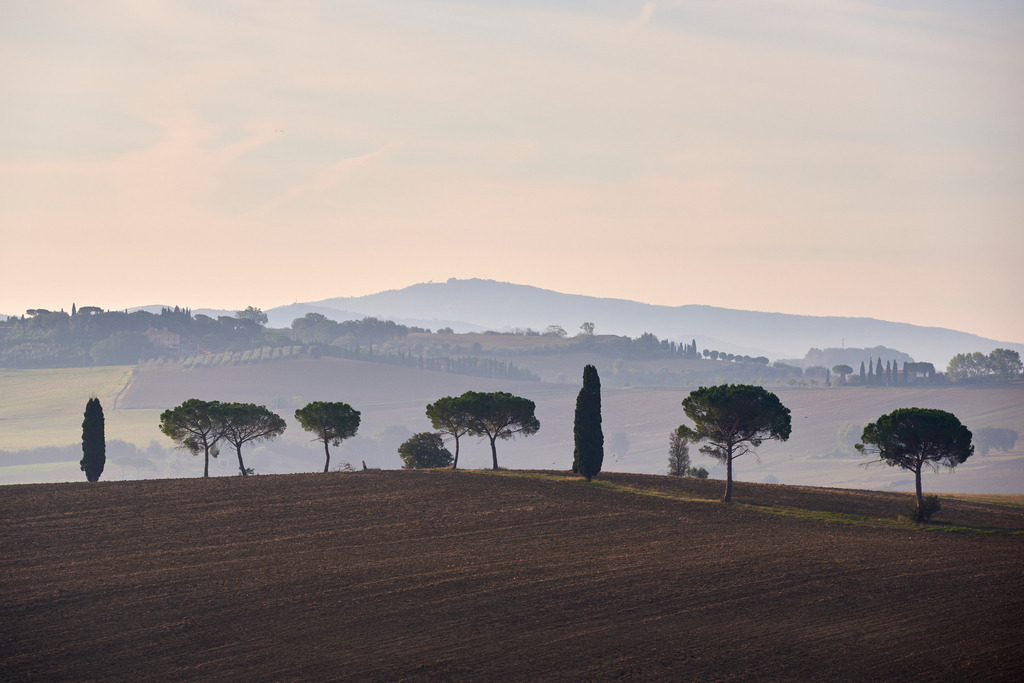 Silhouette Landschaft in Umbrien | Pozzuolo, Italien - September 04, 2016: Silhouetten Landschaft mit Pinien und Zypressen in Umbrien. - Realisiert mit Pictrs.com