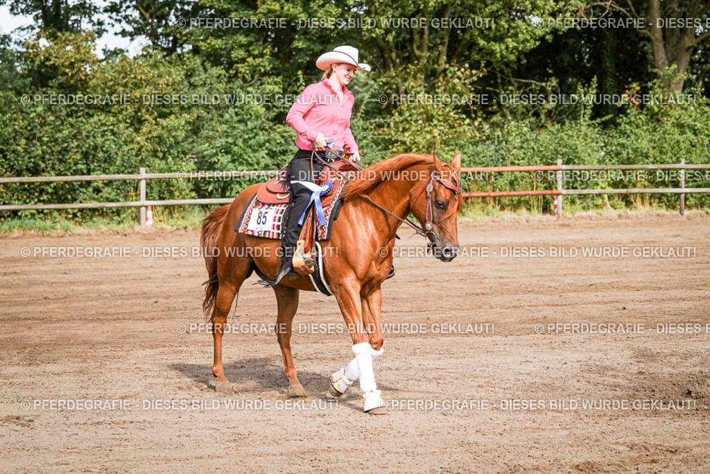 DSC09556 | Pferdegrafie