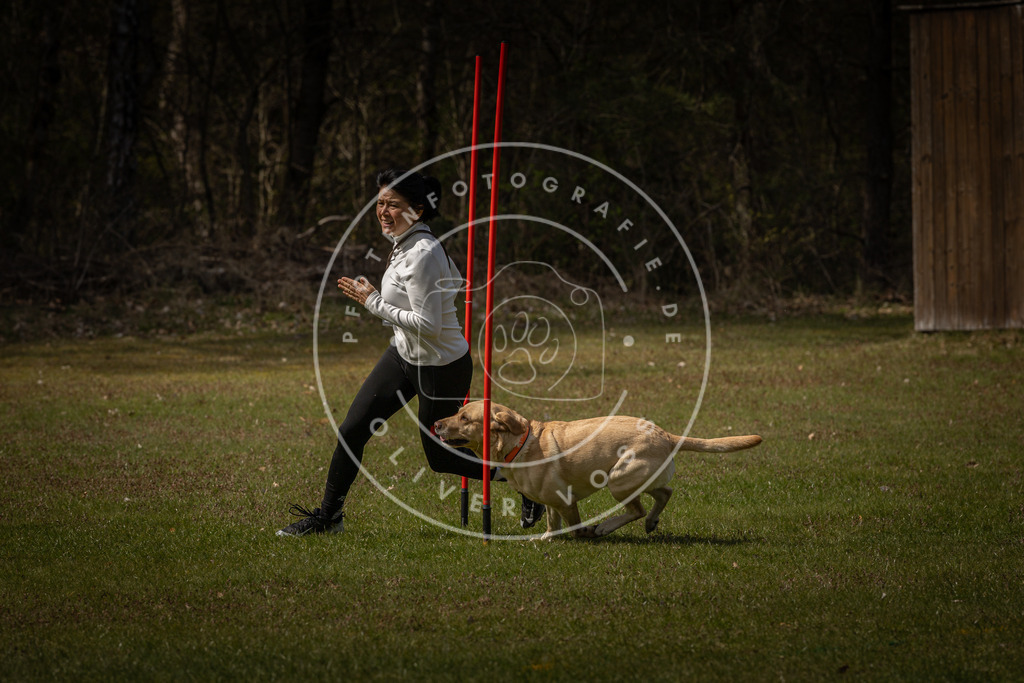 Pfotenfotografie_DV3A4424 | Hundefotografie, Tierfotograf, Pfotenfotografie, Fotoshooting Hund, Hunde Portrait, Hundesport, Hundeportraits, Heideshooting, Hunde, Sportfotograf, Hundefotograf, Turnierhundsport, THS,  - Realisiert mit Pictrs.com