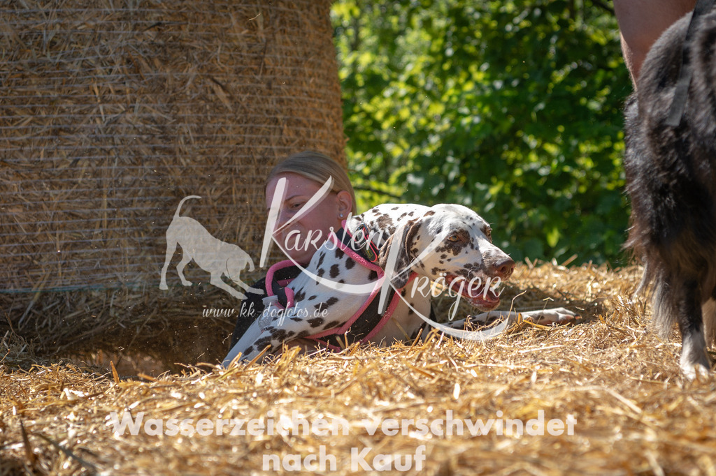 1042STR_5699 | kk-dogfotos
