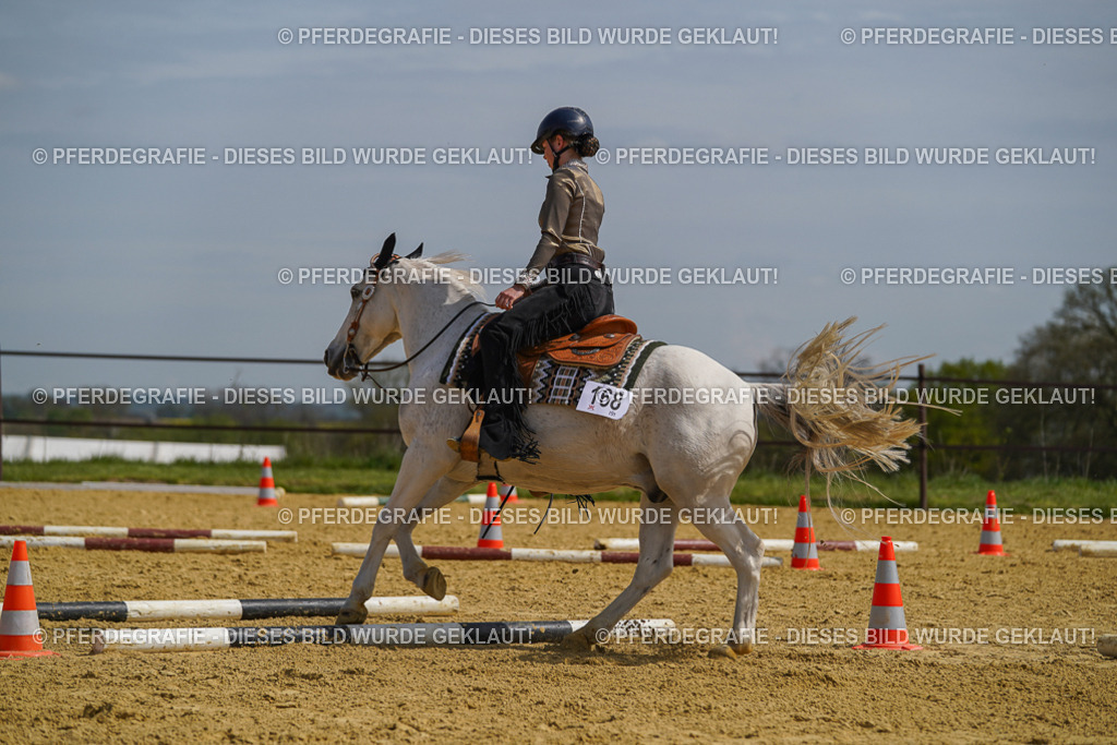 DSC04727 | Pferdegrafie