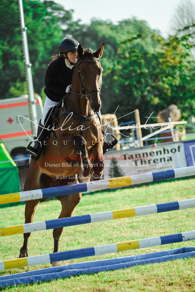 DSC_4520 | Pferde- und Turnierfotografie in Westsachsen. Pferdeportraits, Auftragszeichnungen und intuitive Kunst.