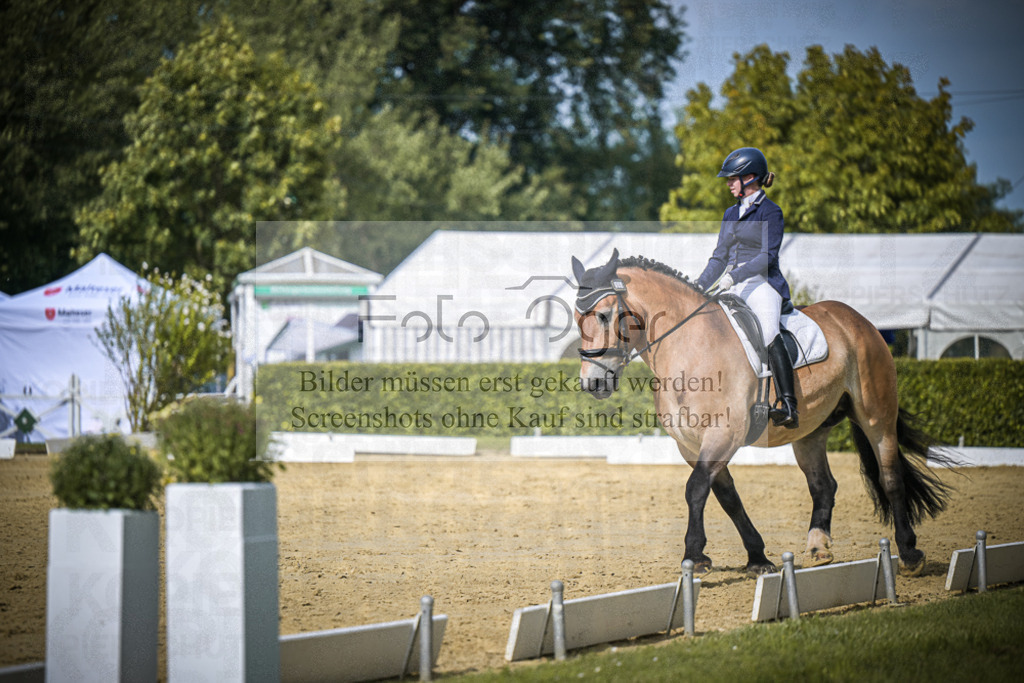 DOS_6807 | Entdecke hochwertige Reitturnierfotos von Foto Oger. Professionell, emotional und authentisch – jetzt Lieblingsmomente im Shop bestellen.Deutschlandweite Turnierfotografie. - Realisiert mit Pictrs.com