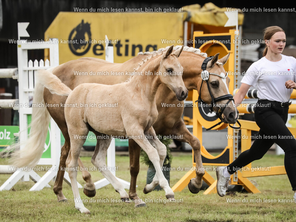 598A1661 | photographylinaismer - Realisiert mit Pictrs.com