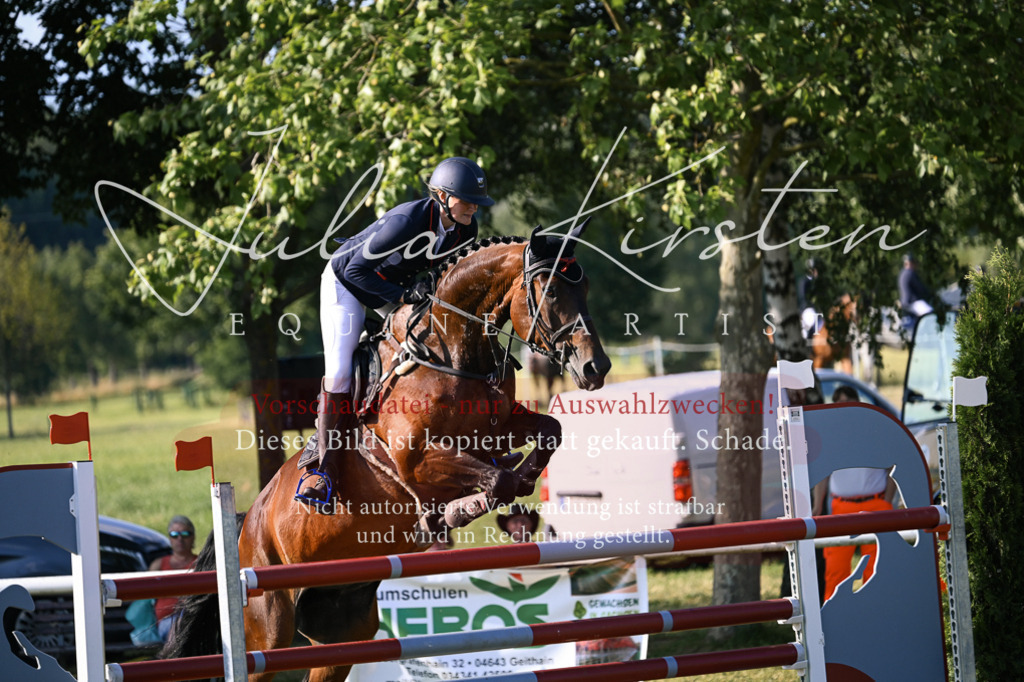 DSC_1649 | Pferde- und Turnierfotografie in Westsachsen. Pferdeportraits, Auftragszeichnungen und intuitive Kunst.