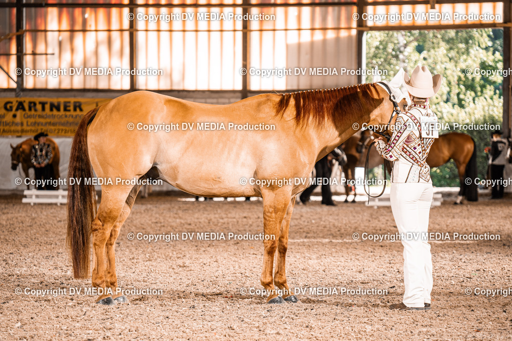 ZH100231 | dv-media-shop - Realisiert mit Pictrs.com