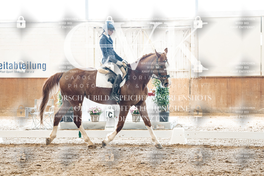 CK900013 | Turnierfotografie Pferdefotografie Trier Rheinland-Pfalz Pferdesport Reitsport Tierfotografie Sportfotografie Pferdevideo Pferdevideografie Equestrianvideography equestrianphotography  - Realisiert mit Pictrs.com