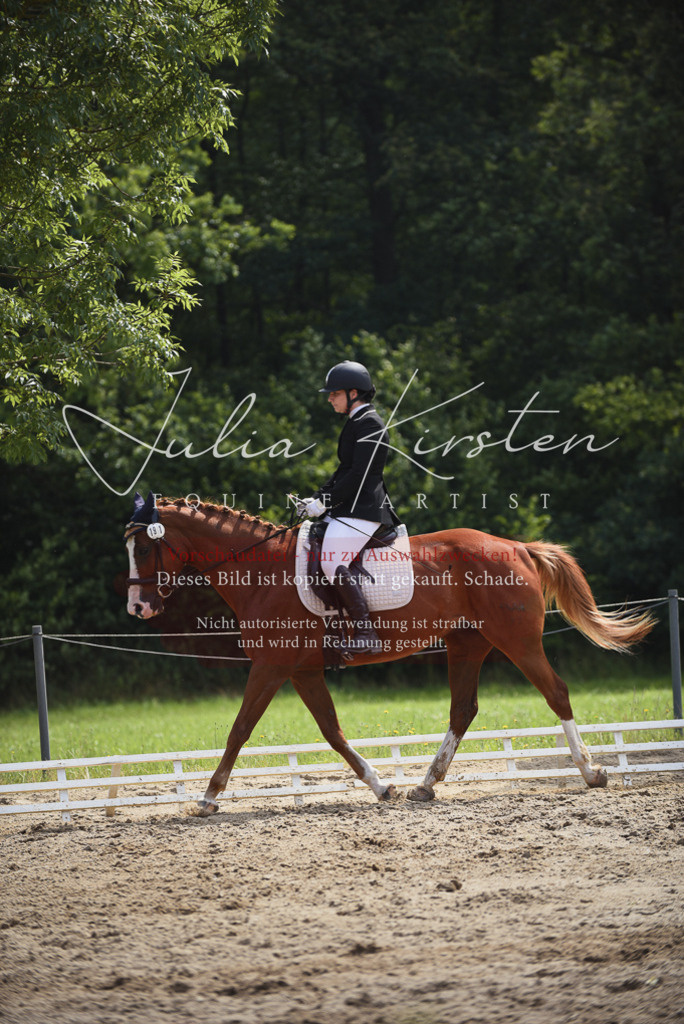 DSC_0866 | Pferde- und Turnierfotografie in Westsachsen. Pferdeportraits, Auftragszeichnungen und intuitive Kunst.