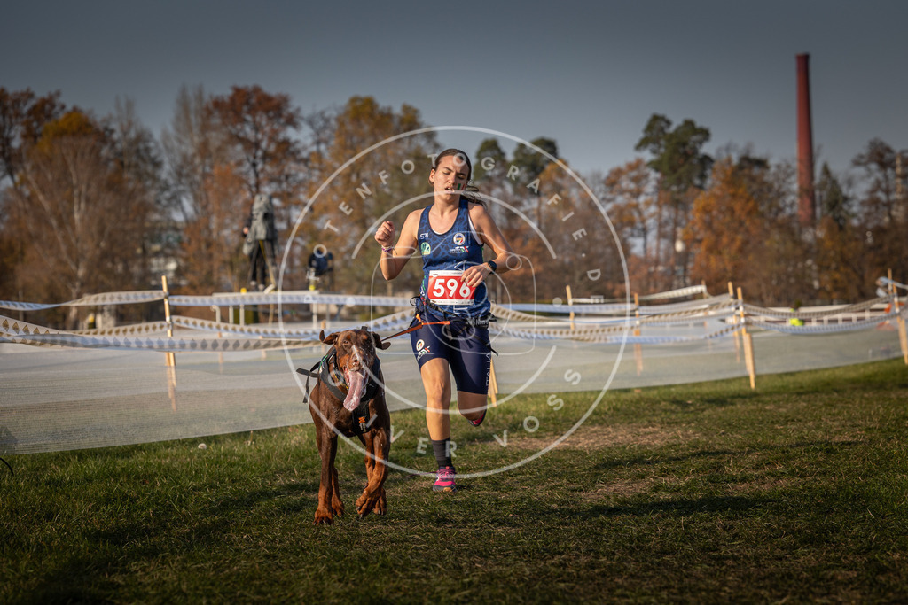 CaniXpix_0L8A0058 | Hundefotografie, Tierfotograf, Pfotenfotografie, Fotoshooting Hund, Hunde Portrait, Hundesport, Hundeportraits, Heideshooting, Hunde, Sportfotograf, Hundefotograf, Turnierhundsport, THS,  - Realisiert mit Pictrs.com