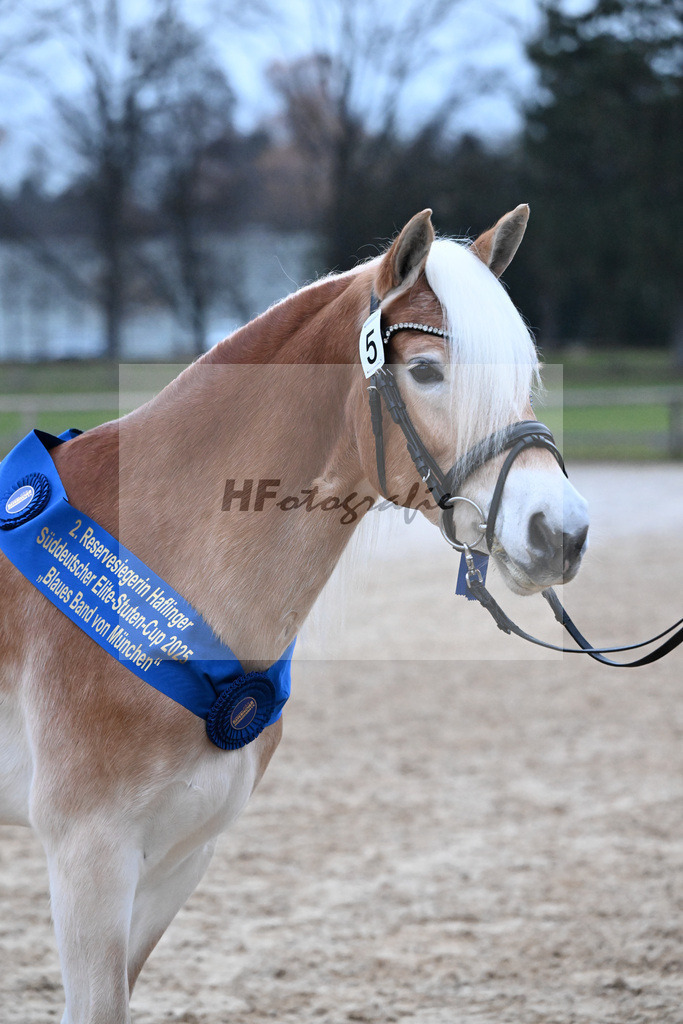 Bl. Band Kat-Nr. 5 Lady Cool v. Wetterstein_Gossner_48251993 | hf-fotografie - Realisiert mit Pictrs.com
