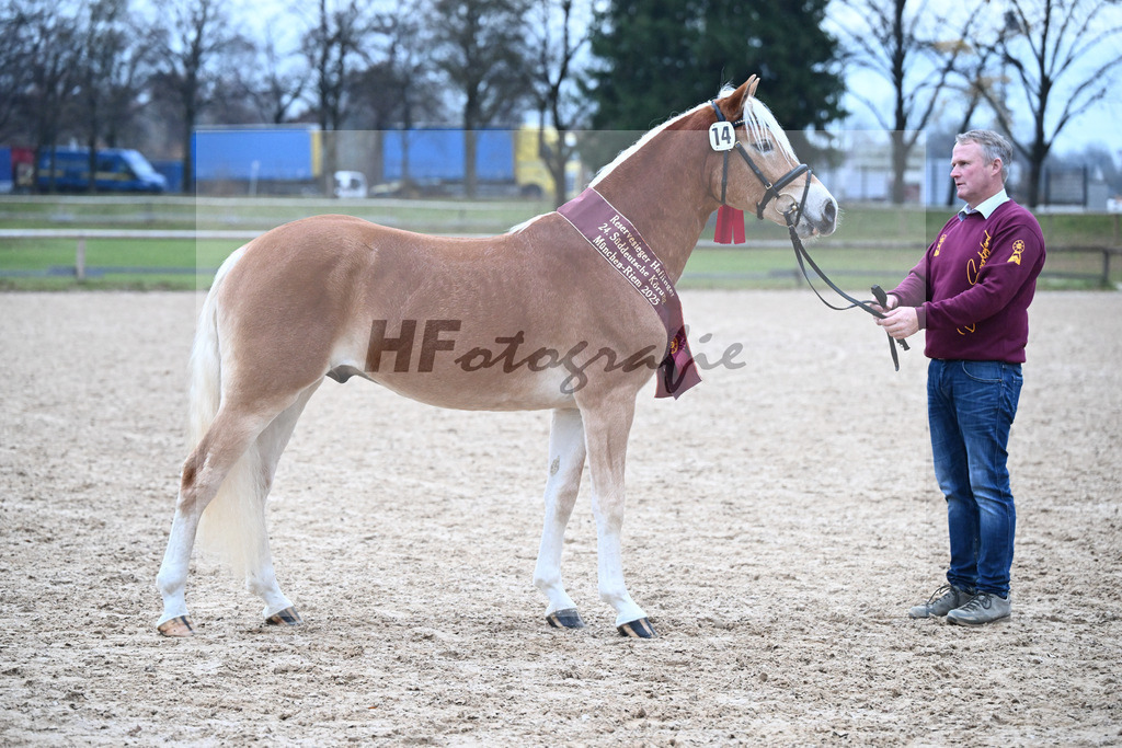 Kat-Nr. 14 Stefano Amore v. Steingold_Bachmann_48251966 | hf-fotografie - Realisiert mit Pictrs.com