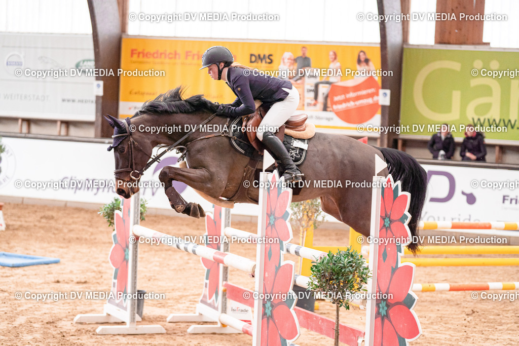 Kranichstein Tag 3-566 | dv-media-shop - Realisiert mit Pictrs.com