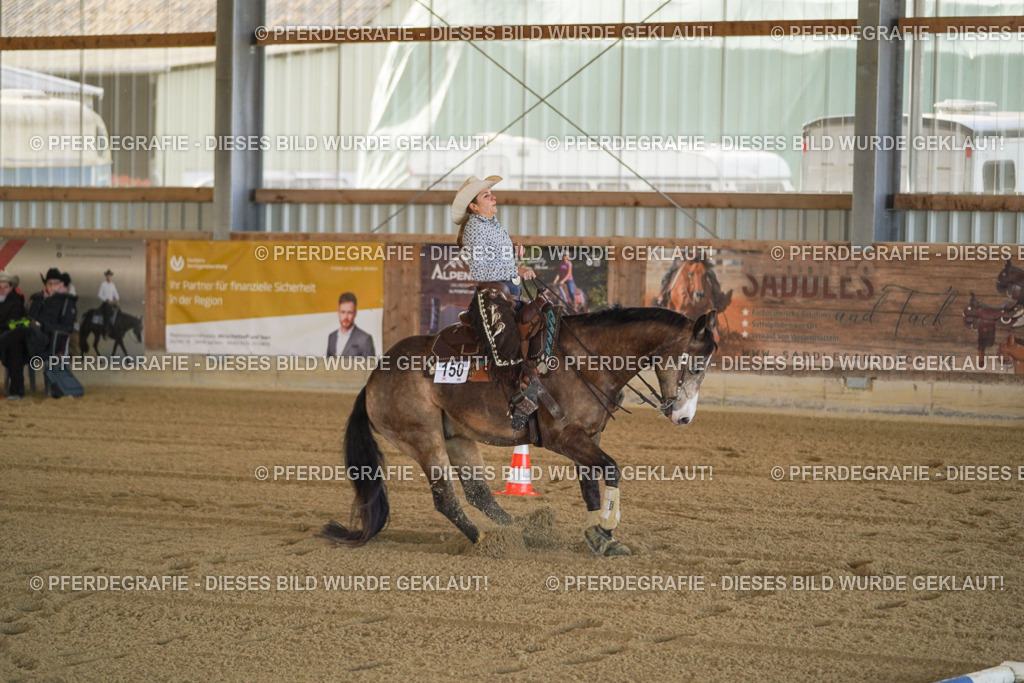 DSC00178 | Pferdegrafie