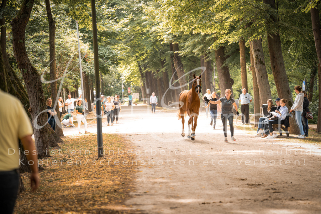 FrPfM00096 | Leoni Ertmer Photography - Realisiert mit Pictrs.com