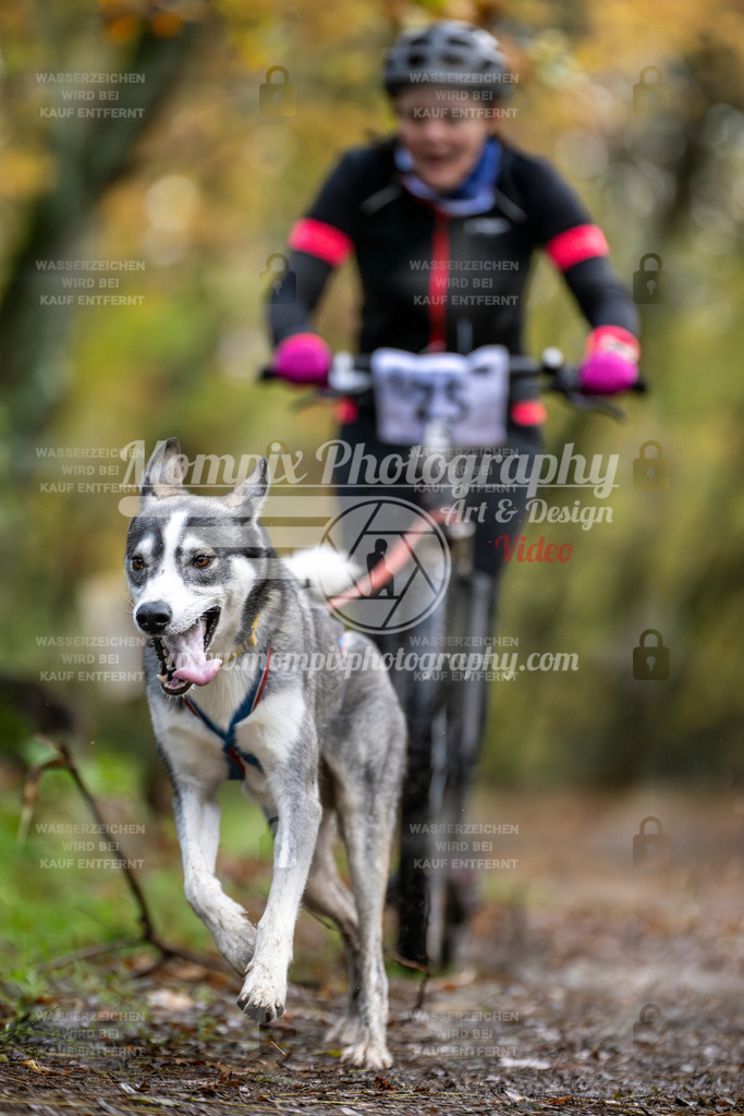MompixPhotography_Bischwiller23_DS1-7 | PayLife