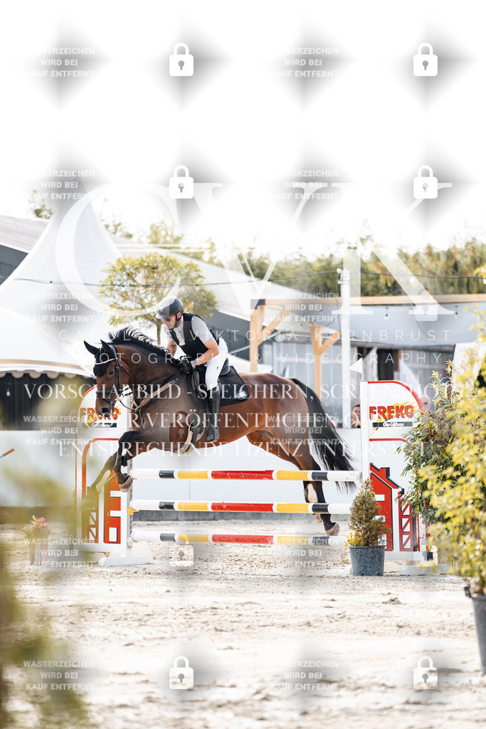 CK906526 | Turnierfotografie Pferdefotografie Trier Rheinland-Pfalz Pferdesport Reitsport Tierfotografie Sportfotografie Pferdevideo Pferdevideografie Equestrianvideography equestrianphotography  - Realisiert mit Pictrs.com