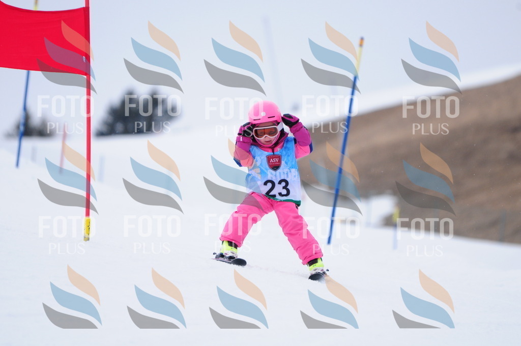 A3422 | holidayphoto