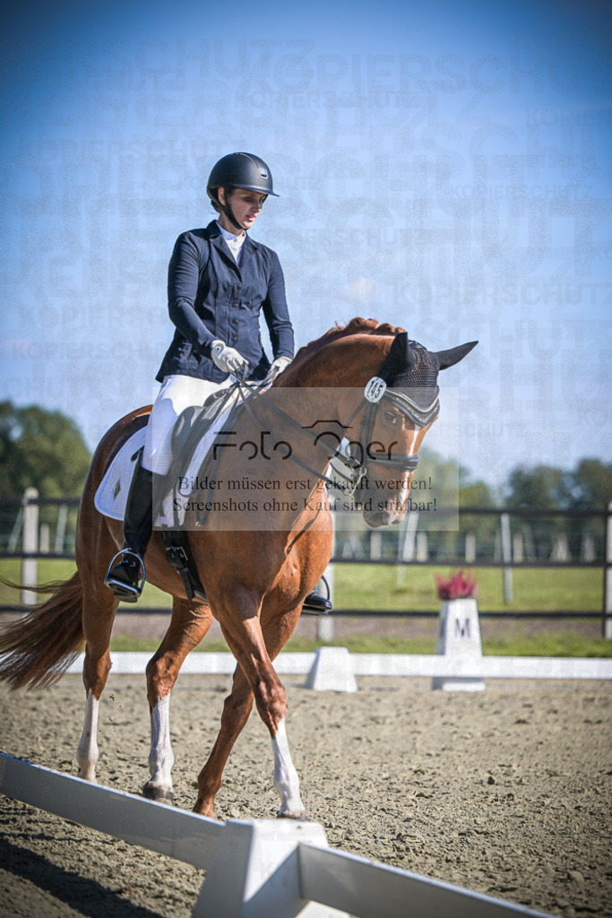 DOS_2591 | Entdecke hochwertige Reitturnierfotos von Foto Oger. Professionell, emotional und authentisch – jetzt Lieblingsmomente im Shop bestellen.Deutschlandweite Turnierfotografie. - Realisiert mit Pictrs.com