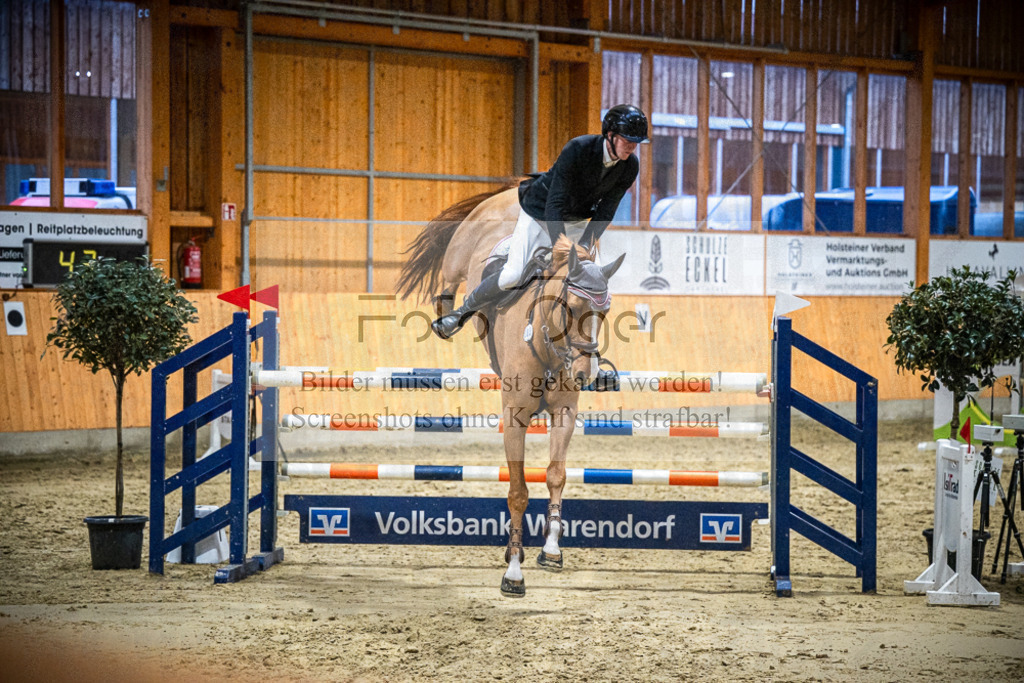 DOS_2572 | Entdecke hochwertige Reitturnierfotos von Foto Oger. Professionell, emotional und authentisch – jetzt Lieblingsmomente im Shop bestellen.Deutschlandweite Turnierfotografie. - Realisiert mit Pictrs.com