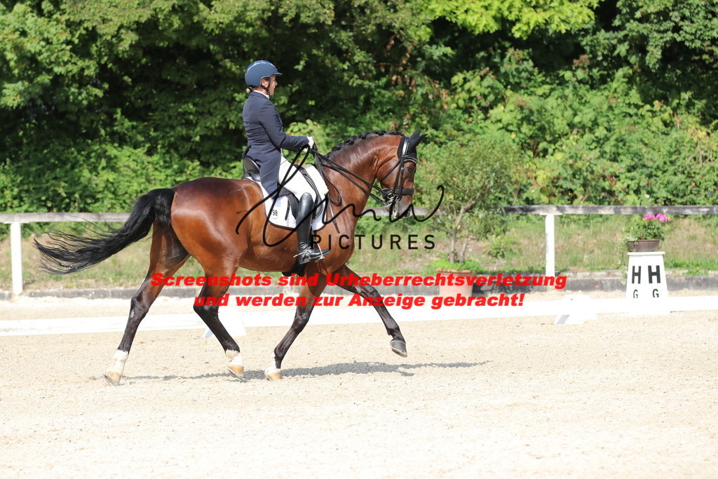 IMG_6805 | lmwpictures - Realisiert mit Pictrs.com